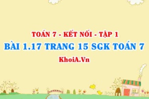 Bài 1.17 trang 15 SGK Toán 7 tập 1 Kết nối tri thức